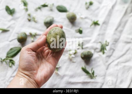 Happy Easter! Hand holding natural dyed green egg against spring flowers on linen background. Holiday template with space for text Stock Photo