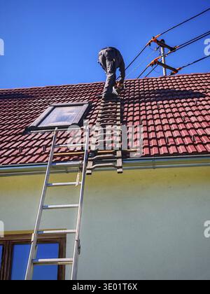a ladder for climbing up when people working at height a ladder for ...