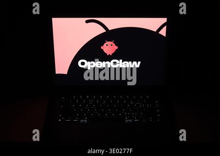 Shanghai,China-March 10th 2026: OpenClaw logo on laptop computer screen. AI agent app software Stock Photo