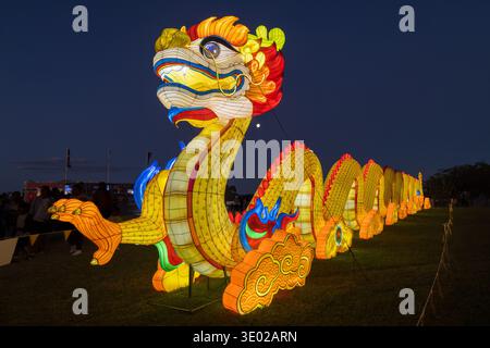 A lantern sculpture of a gold dragon at Chinese New Year celebrations. Auckland, New Zealand Stock Photo