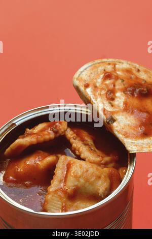 Tin ravioli, ready meal in open can Stock Photo