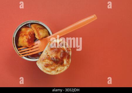 Tin ravioli, ready meal in open can Stock Photo