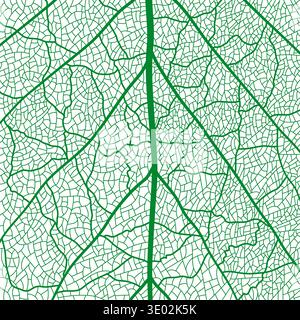 Green tree leaf veins texture pattern closeup Stock Vector