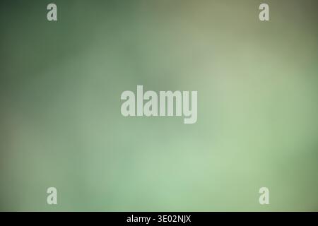 A dreamy scene with gentle green hues creating a calming atmosphere at dusk. Stock Photo
