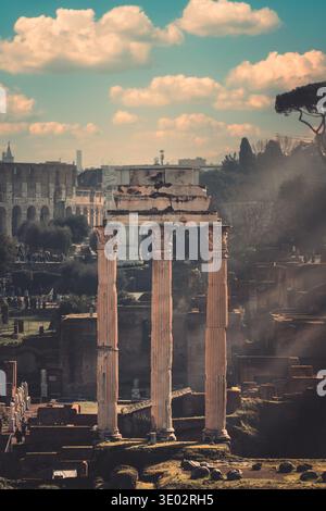 One Column Vector View of the Roman Forum with its ancient columns, stone ruins, and the ...