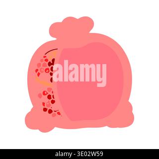 Fresh pomegranate fruit kids memo note frame Stock Vector