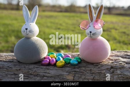 Easter bunnies with colorful chocolate eggs on a green grass background on a sunny day. Happy Easter card Stock Photo