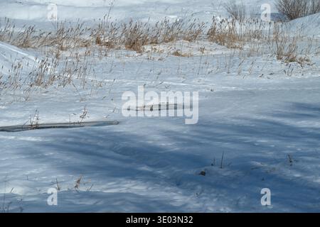 Melting snow on lake shore revealing thin ice patches, scattered reed stems, long tree shadows, cool blue light and quiet latewinter mood capturing se Stock Photo