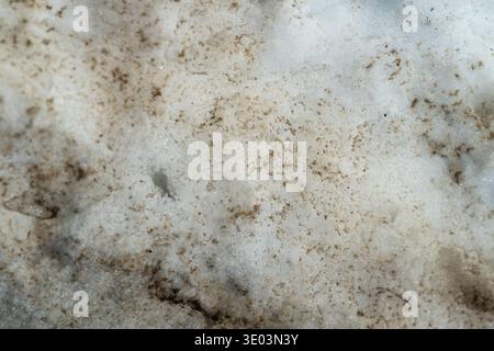 Dirty spring snow with gritty debris, closeup of melting ice stained by roadside dust and tiny sand granules, cool gray tones, wet crystalline surface Stock Photo