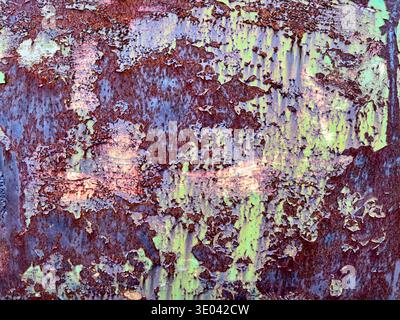 A background texture of corrosion formed by mixture of paint, rust and lichen on a car door in a junkyard. Stock Photo