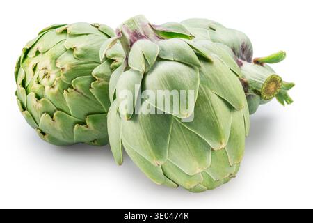 Three french artichokes isolated on white background. File contains clipping paths. Stock Photo