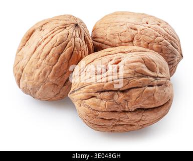 Three walnuts isolated on white background, maximum sharpness achieved by stack photography, cropping outline. Stock Photo