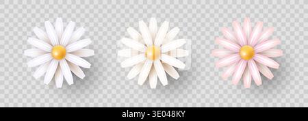 Set of three flowers on a transparent background. Stock Vector
