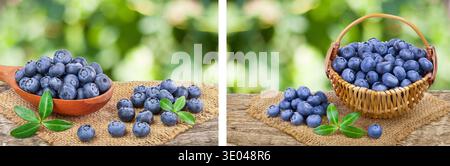 fresh ripe blueberry with leaf in wooden spoon isolated on table and white background. Top view. Flat lay pattern Stock Photo