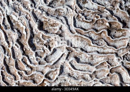 Close-up of a textured travertine surface displaying intricate, natural patterns formed by mineral deposits. The surface exhibits unique textures and Stock Photo