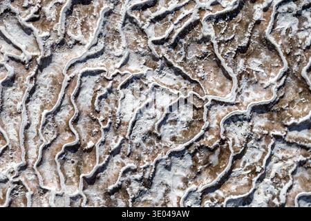 Close-up view of a textured travertine rock surface displaying a unique pattern. Natural formations and mineral deposits create an abstract and intric Stock Photo