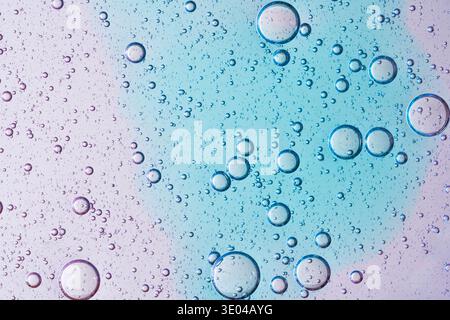Close-up of various sized bubbles forming intricate patterns on a vibrant purple and blue gradient background, resembling textures observed in a petri Stock Photo