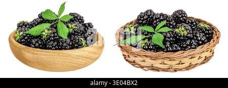 blackberry with leaf in wooden bowl and wicker basket isolated on a white background closeup. Stock Photo