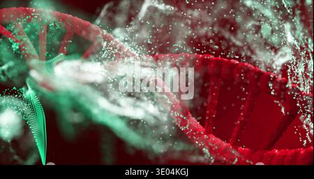Displaying red DNA helix glowing and twisting in dark studio void, with green strand Stock Photo