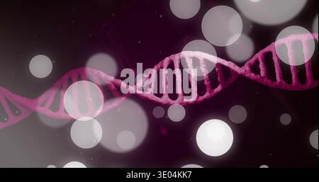 Displaying double-helix DNA stretching across purple backdrop, with bokeh orbs, specks, filaments Stock Photo