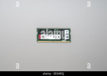 Close-up of a green DDR5 ECC RAM stick with white label, gold contacts, and black chips against plain white background. Stock Photo