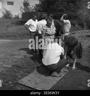 A dedicated group of rural workers, including a man smoking a cigarette and a woman in a floral dress, closely examine and manually sort a fresh fish catch into a metal bucket at the Donrybkombinat farm in the Sloviansk district during the 1980s. This engaging archival photograph intimately captures the authentic collaborative teamwork, casual everyday clothing, and traditional agricultural labor techniques characteristic of Soviet enterprise, preserving a peaceful Donbass before the war. Stock Photo