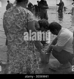 A dedicated group of rural workers, including a man smoking a cigarette and a woman in a floral dress, closely examine and manually sort a fresh fish catch into a metal bucket at the Donrybkombinat farm in the Sloviansk district during the 1980s. This engaging archival photograph intimately captures the authentic collaborative teamwork, casual everyday clothing, and traditional agricultural labor techniques characteristic of Soviet enterprise, preserving a peaceful Donbass before the war. Stock Photo