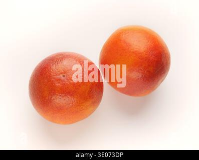 Whole bloody oranges isolated on white background Stock Photo