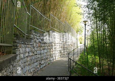 Scenic stone pathway through lush bamboo grove in Parco di Villa Rocca. Perspective shot of narrow brick-paved walkway bordered by high rustic stone Stock Photo