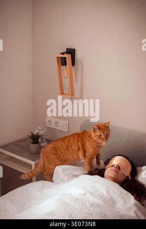 ginger cat tries to wake up woman in morning Stock Photo