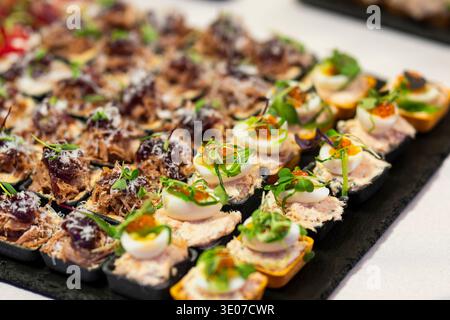 Assorted gourmet canapés with fish mousse, quail eggs, salmon roe and pulled meat served on a catering platter. Selection of fine dining finger foods. Stock Photo
