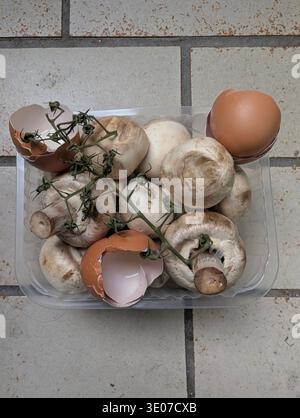 Raw Mushrooms And Eggs Arranged In Clear Tray With Cracked Shells And Thyme Sprigs On Tiled Countertop, Earthy Natural Light, Cozy Home Cook Prepping Stock Photo