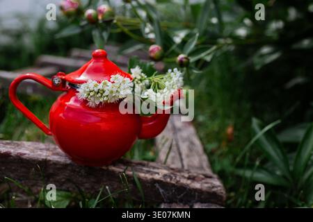 A red teapot sits on a wooden bench in a garden. White flowers are arranged on the spout. Green grass and leaves surround the scene. The sunlight give Stock Photo