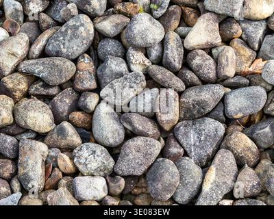 Smooth, multi-colored beach pebbles and river stones with a natural texture background, perfect for organic landscaping, zen-themed designs, and geolo Stock Photo