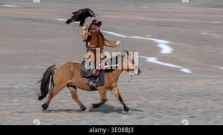 Side view of a Mongolian eagle hunter (berkutchi) riding a horse with a blindfolded golden eagle, Altai Mountains, Bayan-Olgii, Western Mongolia, Mongolia Stock Photo