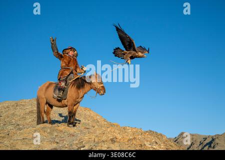 Golden Eagle taking off from a Mongolian eagle hunter (berkutchi) on a horse, Altai Mountains, Western Mongolia, Mongolia Stock Photo
