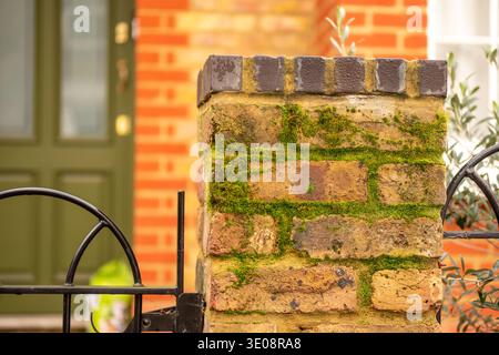Close-up of moss growing on a brick garden wall with visible moisture and aging texture on a residential property exterior. Stock Photo