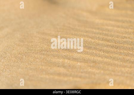 Golden desert sand surface with soft wind ripples forming minimal natural background texture Stock Photo