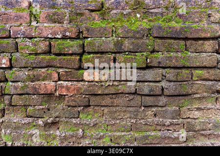 Closeup weathered aged tstone brick wall covered in green moss texture, erosion and natural growth pattern in humid tropical climate Stock Photo