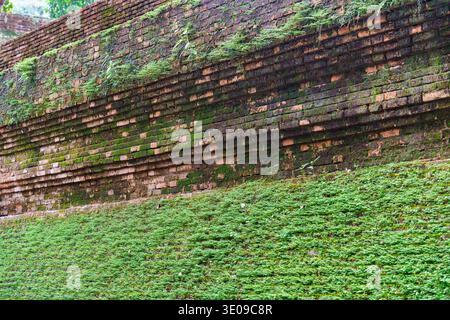 Old weathered historic brick wall with moss and plant growth covered texture background Stock Photo
