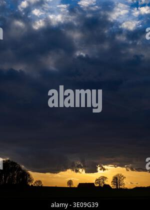 Evening mood against the light near Belm, Lower Saxony Stock Photo