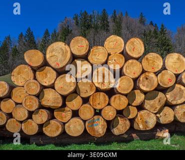 Pile of wood on the Hündle near Oberstaufen in the Allgäu Stock Photo