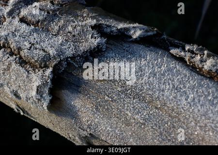 Hoarfrost on a piece of driftwood Stock Photo