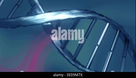 Showing metallic blue DNA double helix twisting in scientific render, magenta ribbon accent Stock Photo