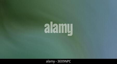This image showcases a green and blue gradient background with smooth curves and a subtle transition between the two colors. Stock Photo