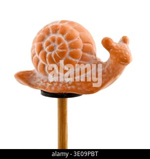 Isolated snail in clay on wooden stick Stock Photo