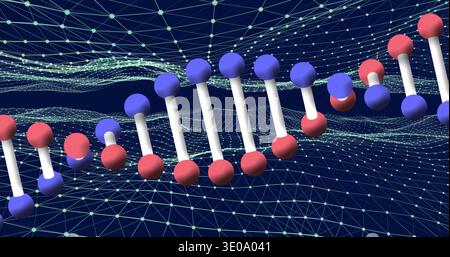 Displaying ball-and-stick molecular chain running in 3D workspace, with red blue nodes grid Stock Photo
