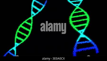 Glowing pair of stylized DNA double helices curving inward on black backdrop, showing neon rungs Stock Photo