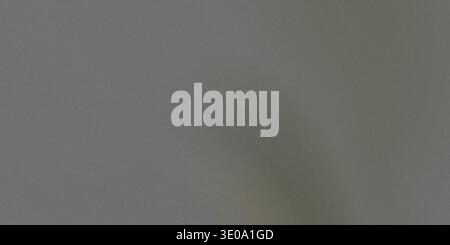 The image features a greenish gray background with a smooth gradient texture transitioning to a lighter shade, creating a natural visual effect with a Stock Photo