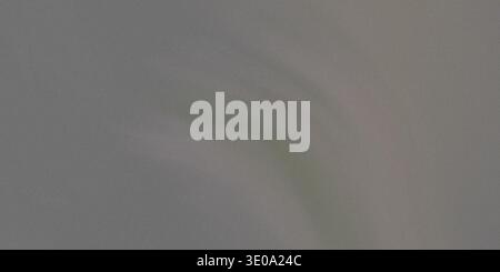 A blurry green and gray smudge on a textured surface with a rough gray background and a greenish smudge in the center Stock Photo